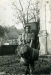 days-work-in-incocco-vines.jpg
