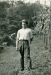 harvesting-grapes-incocco.jpg