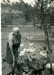 mamma-feeding-turkeys.jpg